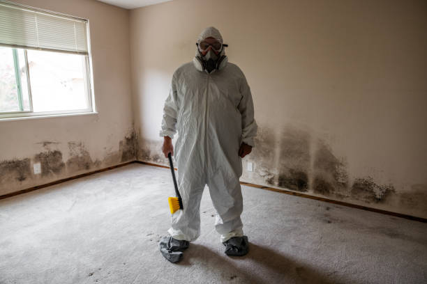 Best HVAC Mold Inspection and Cleaning  in Schnecksville, PA